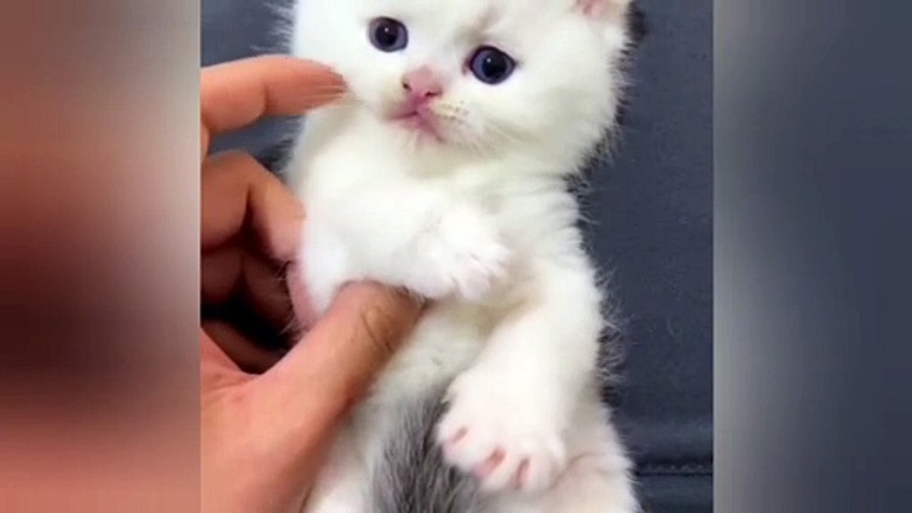So Sweet baby