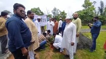 Video Story- Citizens planted saplings on cemetery land, took responsi