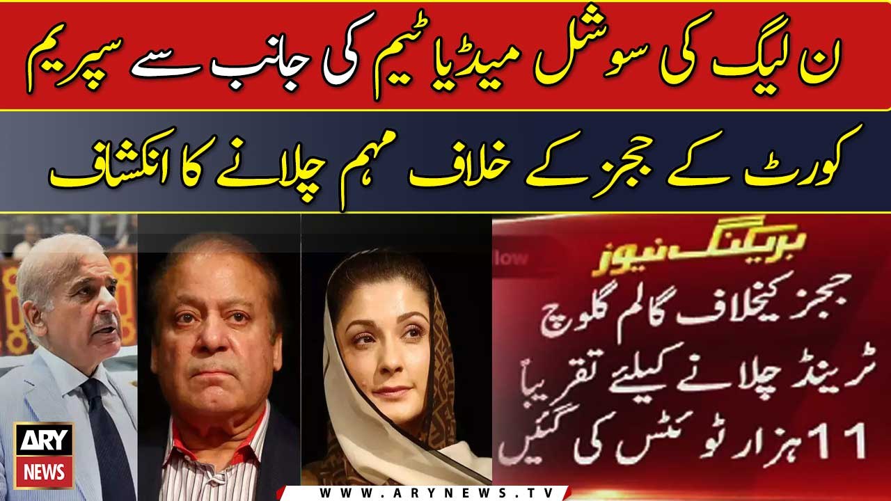 PML-N behind organised social media onslaught against judges