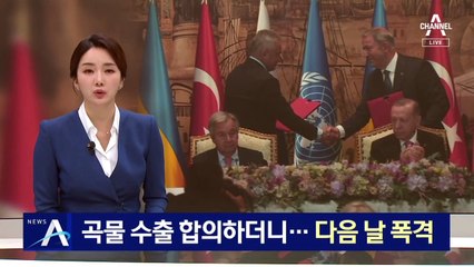 곡물수출 합의하더니…다음 날 러시아, 오데사항 폭격