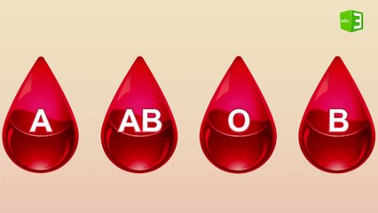 أنواع فصائل الدم في جسم الإنسان