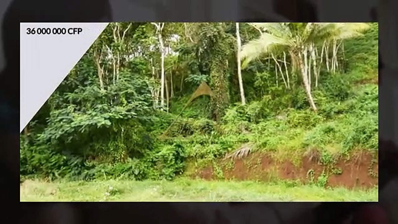 Terrain constructible de 980 m2 à acheter à Punaauia
