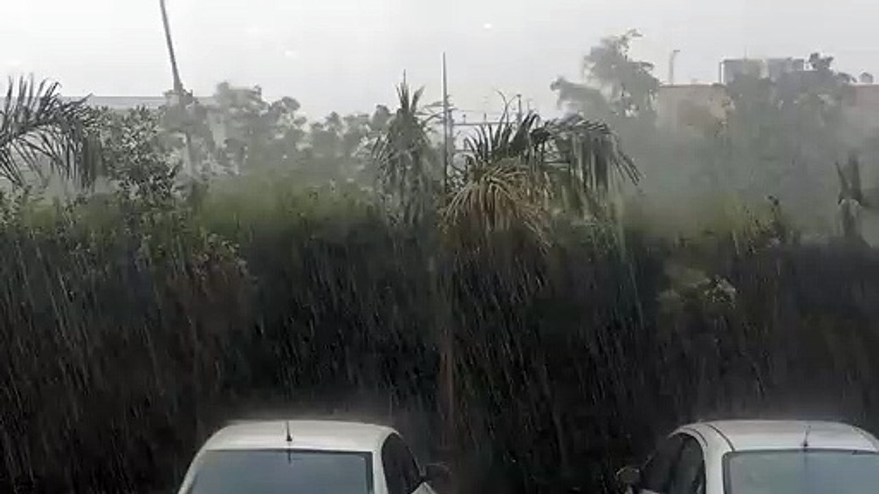 Weather News- 12 जिलों में भारी से अति भारी बरस...