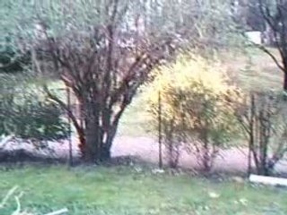 VIDEO DE MON JARDIN
