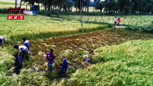 পাখির চোখে গ্রামের সুন্দর প্রাকৃতিক দৃশ্য! #GramerShomoy