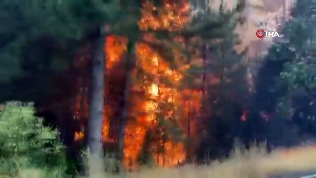 ABD dehşeti yaşıyor! California’da acil durum ilan edildi