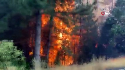 ABD dehşeti yaşıyor! California’da acil durum ilan edildi