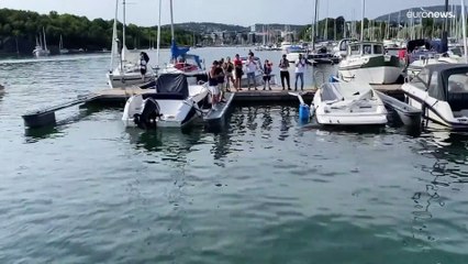 Freya the walrus: Boat-sinking giant gets up to mischief in Oslo