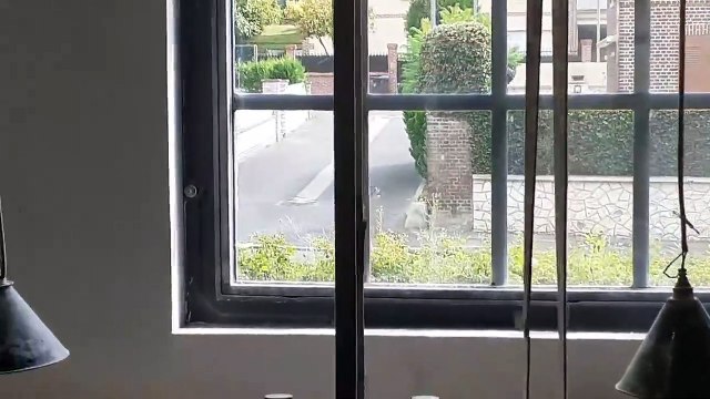 Méru-Musée de la nacre