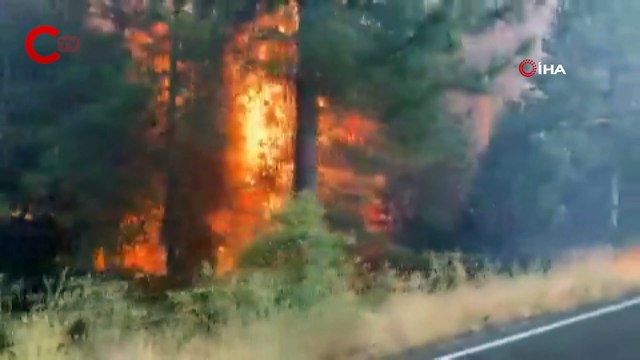California’da orman yangını nedeniyle acil durum ilan edildi
