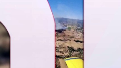 Bodrum Milas'ta orman yangını