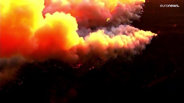 Estados Unidos | Emergencia en California por incendio forestal