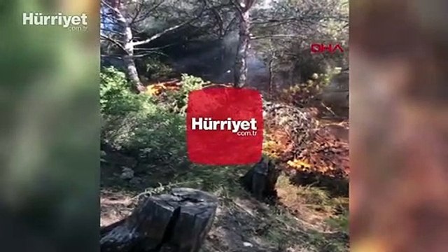 Muğla'nın Milas ilçesinde orman yangını