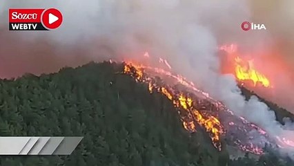 Kütahya'da orman yangını çıktı