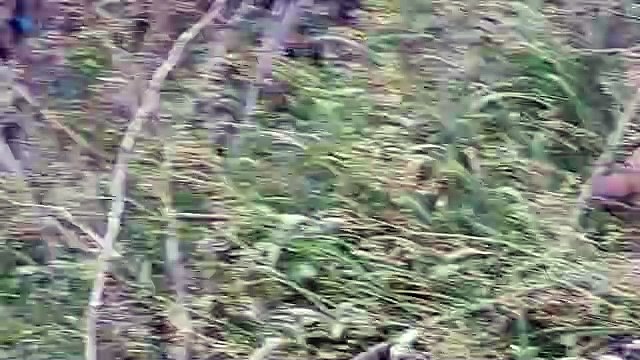 Selfie takes a life : सेल्फी लेते झील में गिरा किशोर