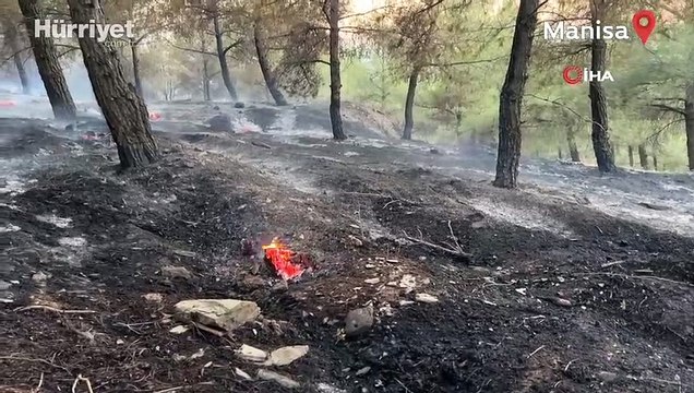 Manisa’da orman yangını! Karadan ve havadan müdahale ediliyor