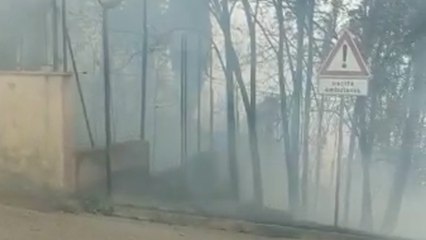 Cinigiano (Grosseto): pauroso incendio, abitazioni minacciate