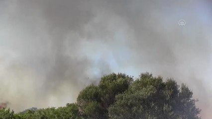 Makilik alanda çıkan yangın kontrol altına alındı