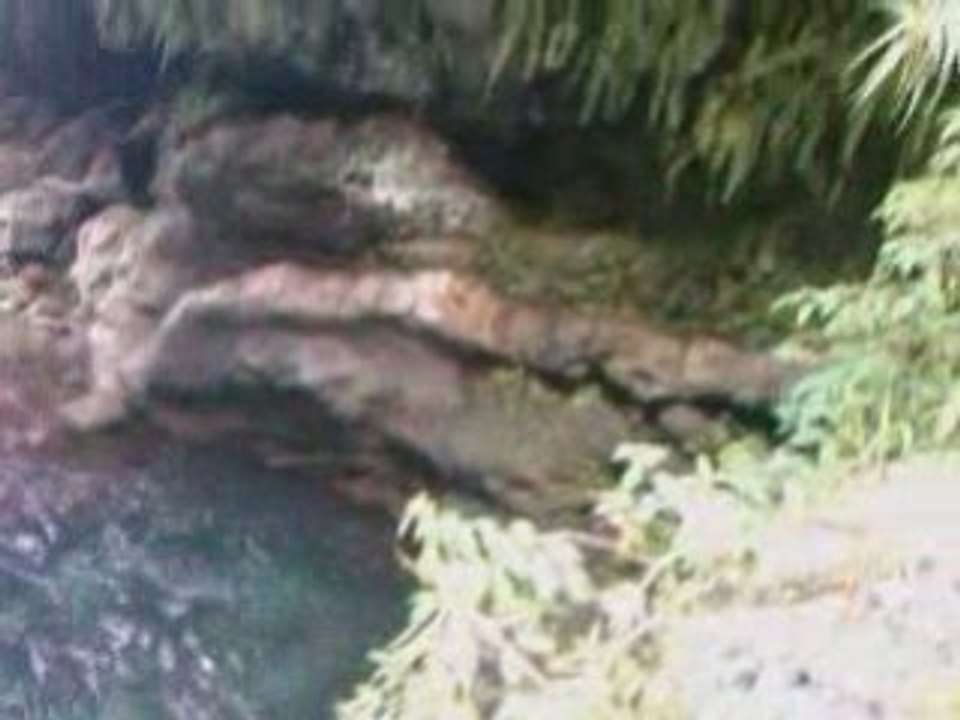 Reunion Cascade 3