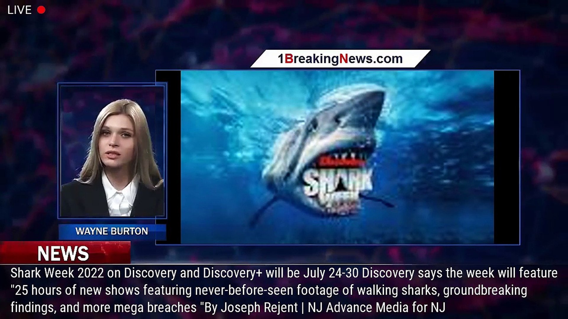 Shark Week 2022 Wallpaper