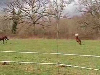 13-03 arrivée Ruby (34)