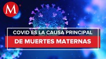 Covid-19 se convirtió en las principales causas de muerte materna