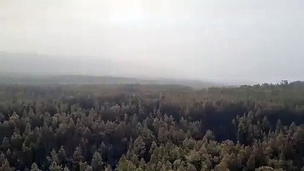 IFLosRealejos IFTenerife - - Imágenes de esta tarde captadas por medios aéreos del INFOCA