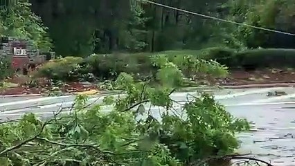 Tornado Damage in Fulton County, Georgia