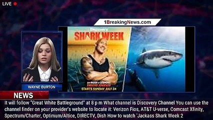 'Jackass Shark Week 2.0′ free live stream: How to watch Shark Week 2022 online without cable - 1brea