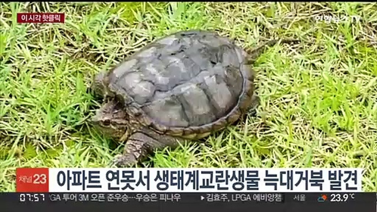 [핫클릭] 연천 임진강서 여성 시신 발견…북한 주민 추정 外
