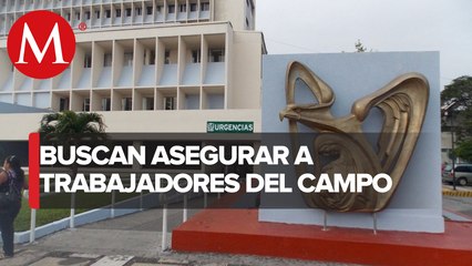 Consejo Técnico del IMSS aprueba campaña de afiliación de trabajadores del campo