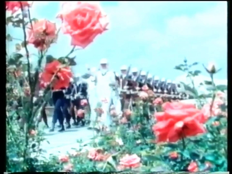 (Creepypasta) O bizarro encerramento das transmissões [Especial Dia das Bruxas 2022] [+12]