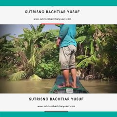 Menjaring Ikan Monster Rawa Rawa