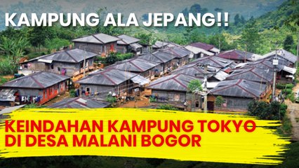 JURNAL DESA - KEINDAHAN KAMPUNG TOKYO DI DESA MALANI BOGOR