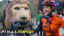 Kara David, magbibisikleta paakyat ng Baguio City! | Pinas Sarap