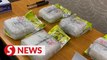 Local man, Vietnamese wife nabbed with drugs worth over RM2mil in Ipoh