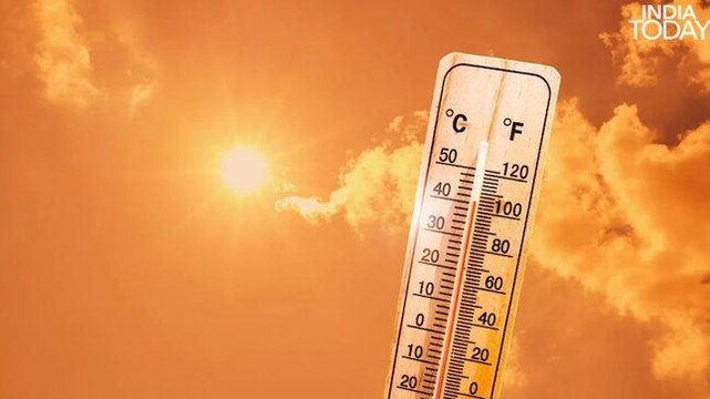 Exclusive Interview | Climate Activist Luisa Neubauer on climate change, extreme heatwave in Europe