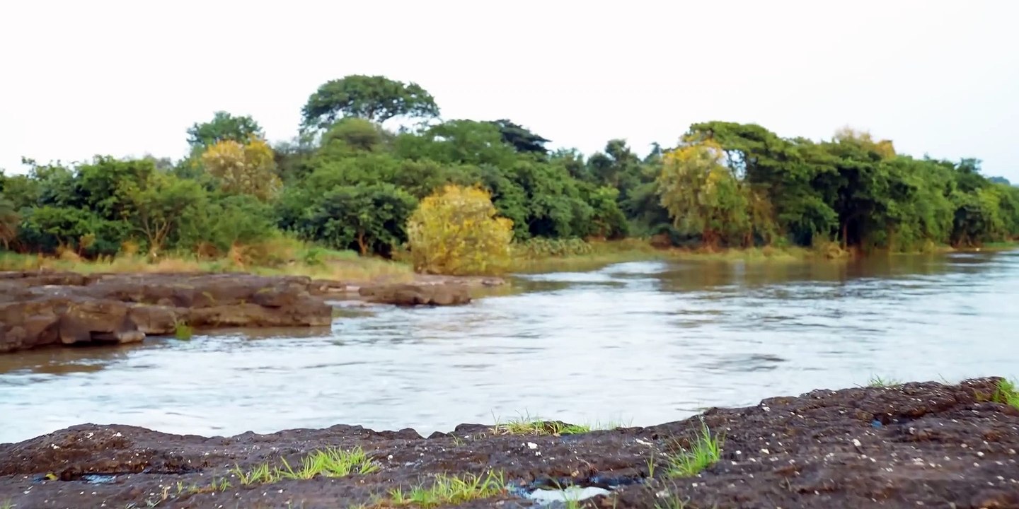 Nothing Phone (1) Issues_ Best Phone Under 30K_ Xiaomi 12 Lite Launch_ Pixel 6A Pricing