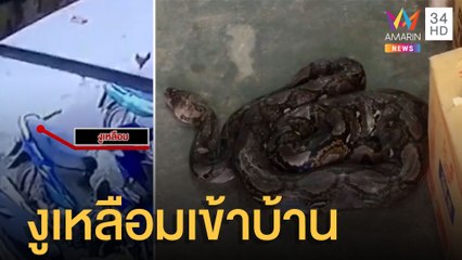 เสียงดังกลางดึกนึกว่าโจร ที่แท้งูเหลือมเลื้อยเข้าบ้าน | ข่าวเที่ยงอมรินทร์ | 25 ก.ค.65