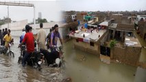 ರಣ ಮಳೆ,ಪ್ರವಾಹಕ್ಕೆ ತತ್ತರಿಸಿದ ಪಾಕಿಸ್ತಾನ: ಜನ ಜೀವನ ಅಸ್ತವ್ಯಸ್ತ | *World | OneIndia Kannada