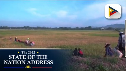 Mga nais iparating ng mga taga-Cebu kay PBBM