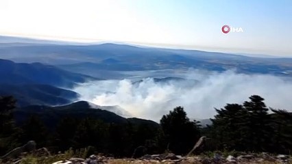 Kütahya'da orman yangını