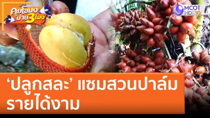 'ปลูกสละ' แซมสวนปาล์ม รายได้งาม! | คุยโขมงบ่าย 3 โมง