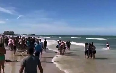 EUA. Condutor em 'emergência médica' irrompe por praia na Flórida