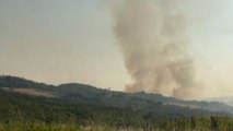 Incendio in Maremma, evacuato il paese di Cinigiano