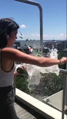 Fun edit 104 #shorts #funnyvideos #funny #funnyfails #fyp