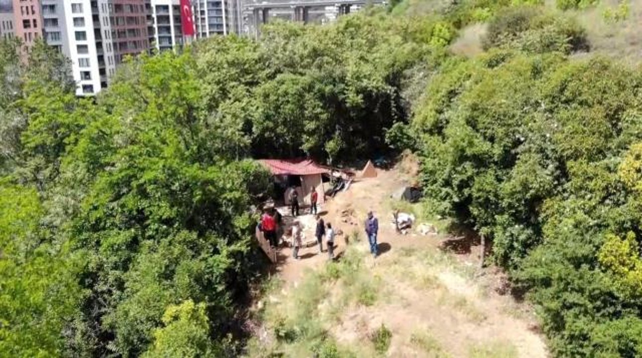 İstanbul'da "Kör Ercan" lakaplı pitbullu torbacıya baskın: Okulun karşısına kulübe kurmuş