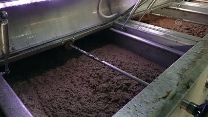 BALIKESİR - Dökme zeytinyağı ihracatında kısıtlamanın kaldırılması sektörde olumlu karşılandı