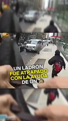 Un ladrón fue atrapado con la ayuda de un caballo