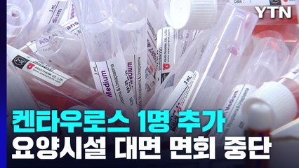 BA.2.75 감염 4명으로 늘어...요양병원 접촉면회 제한 / YTN